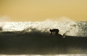 Golden Surfer