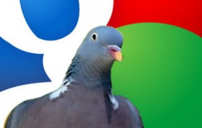 Google pigeon